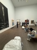 Artistic Reflections at de Young