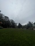 Serenity in the Park