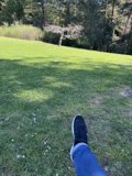 Serenity in Guerneville