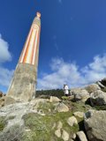 Towering Above the Clouds