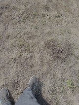 A Stroll Through Heidrun Meadows