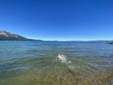 Majestic Mountain Swim