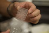 Holding a Small Plastic Chip