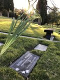 Remembered in Nature