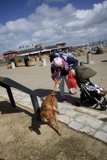 A Stroll Under Monterey Skies: Hi-Li's Adventure