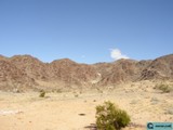 Desert Oasis