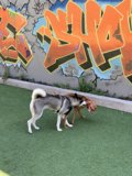 Graffiti Playtime