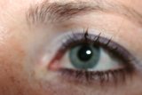 Blue Liner Close-Up