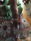 Home Decor: Playful Pup on the Couch