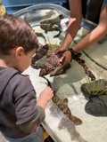 Exploring the Wonders of the Deep
