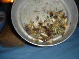 Dried Mushroom Medley