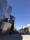 Walt Disney Concert Hall Standing Out