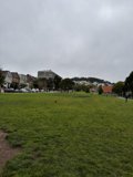 Cars in the Meadow