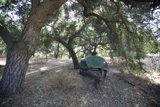Green and Black Cart on a Dirt Road