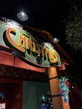 Illuminated Celebration at Disney Springs