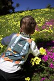 Portrait of Innocence Amidst the Blossoms