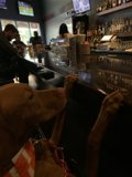 The Unforgettable Bar Experience
