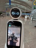 The Photographic Robot: When Tech Mimics Art