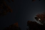 Moonlit Night Sky Over Mount Lassen Wilderness