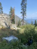 Majestic Mountain and Lush Lake