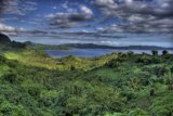 Majestic Rainforest and Lake