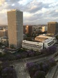 Sky-high View of the Metropolis