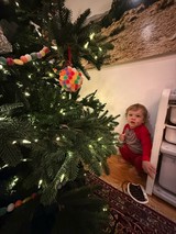 Toddler's First Christmas Tree Moment at Home