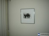 Cactus Art