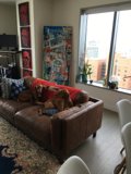 Lounge on a Leather Couch