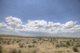 Desert Horizons
