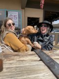 Ladies and their Loyal Companion