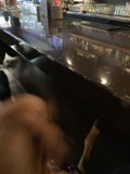 Furry Patron at the Pub