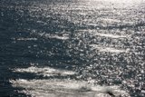 Serene Sail