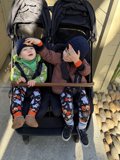 Playful Morning in Carmel