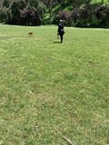 A Leisurely Walk in Pine Lake Park