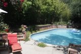 Relaxing by the Backyard Pool