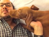 Man and his Canine Companion