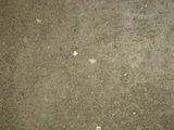 Nature's Impact on Concrete Flooring