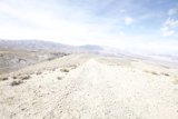 Riding into the Desert Wild