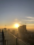 Rise and Shine in the Urban Jungle
