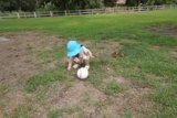 Summer's Child: Playtime in the Field