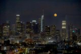 Moonlit Cityscape