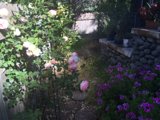A Serene Garden Sanctuary