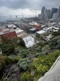Metropolis by the Bay