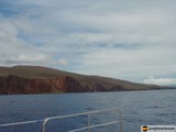 Serenity on the High Seas