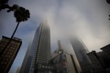 Lost in the Fog of Metropolis