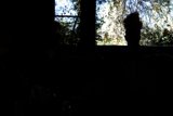 Solitude in the Dark
