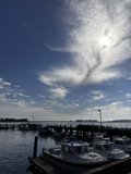Peaceful Harbor Scene