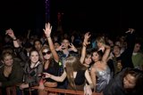 Night Sky Party