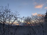 Winter Wonderland